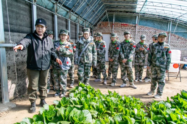 師生在第六埠村蔬菜大棚，了解蔬菜種植過程和常見病蟲害防治等知識。.jpg